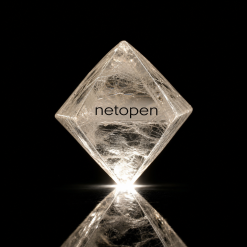 netopen diamond 20