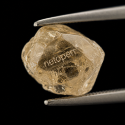 netopen diamond 6